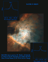 Water Vapour in Orion