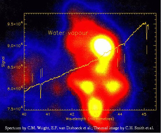 Water vapor absorption lines detected toward Orion IRc2 with ISO SWS