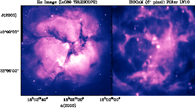 Triffid Nebula