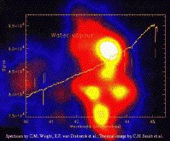 ISO-SWS detection of water vapor absorption lines toward Orion IRc2